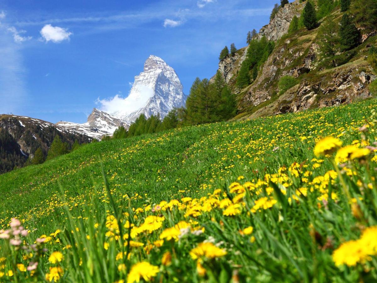 Apartment Lauberhaus By Interhome Zermatt Zewnętrze zdjęcie
