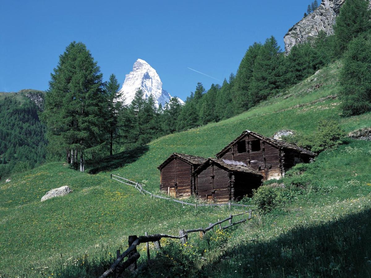 Apartment Lauberhaus By Interhome Zermatt Zewnętrze zdjęcie